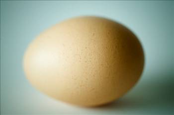 Yumurta Hakkında Bilmedikleriniz