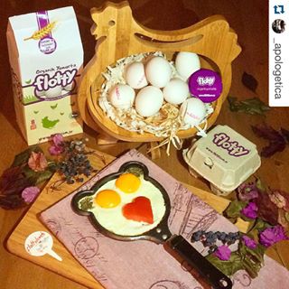 Çekmeköy Flotty Organik Yumurta Toptan Satış Ve Dağıtım Hizmetleri