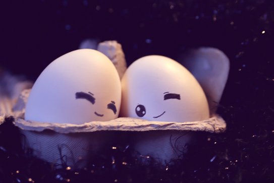 Bağcılar Toptan Yumurta Satış Ve Dağıtım Hizmetleri