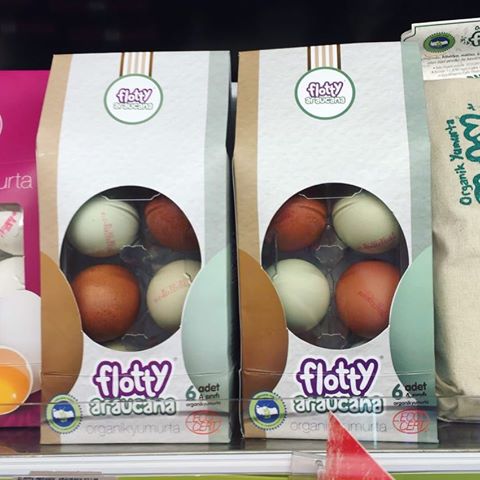 Küçükçekmece Flotty Organik Yumurta Toptan Satış Ve Dağıtım Hizmetleri