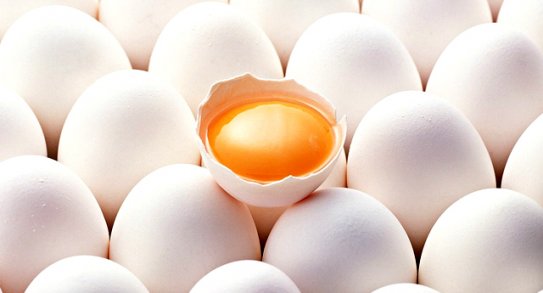 Gaziosmanpaşa Toptan Yumurta Satış Ve Dağıtım Hizmetleri