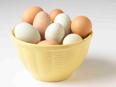 Beylikdüzü Toptan Yumurta Satış Ve Dağıtım Hizmetleri