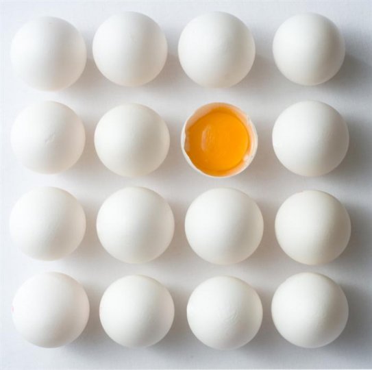 Beyoğlu Toptan Yumurta Satış Ve Dağıtım Hizmetleri