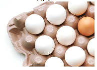 Eyüp Toptan Yumurta Satış Ve Dağıtım Hizmetleri