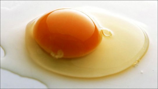 Ümraniye Toptan Yumurta Satış Ve Dağıtım Hizmetleri