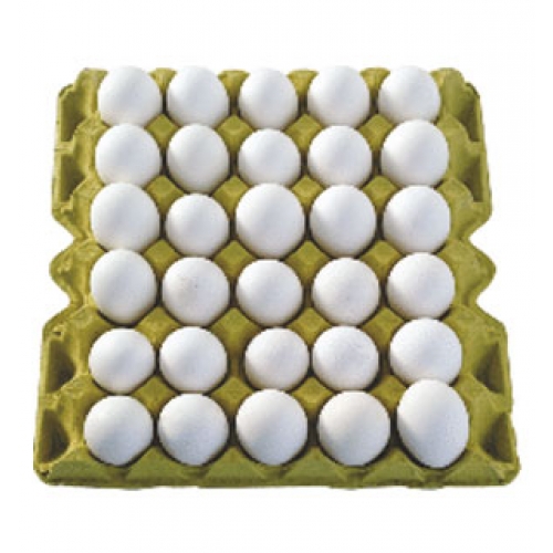 Bakırköy Toptan Yumurta Satış Ve Dağıtım Hizmetleri