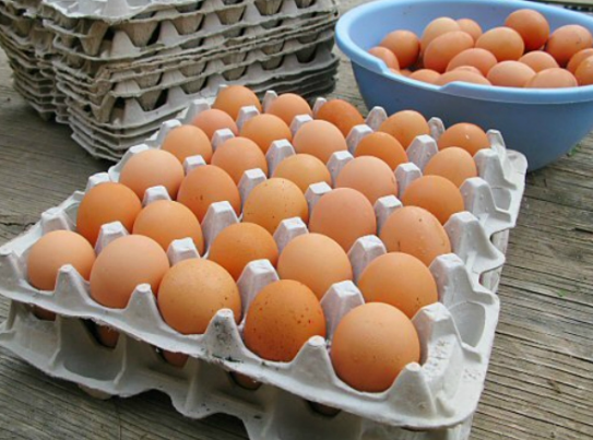 Başakşehir Toptan Yumurta Satış Ve Dağıtım Hizmetleri