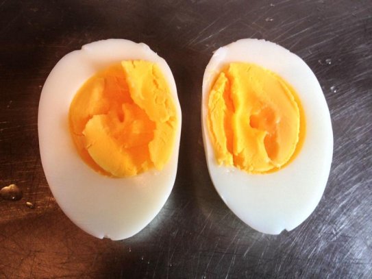 Bağcılar Flotty Organik Yumurta Toptan Satış Ve Dağıtım Hizmetleri
