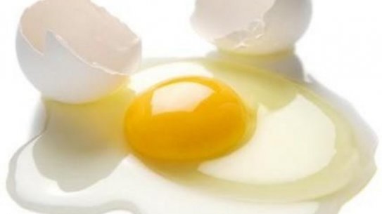 Küçükçekmece Toptan Yumurta Satış Ve Dağıtım Hizmetleri