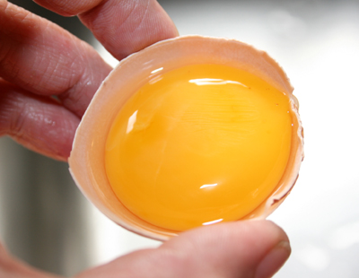 Üsküdar Toptan Yumurta Satış Ve Dağıtım Hizmetleri