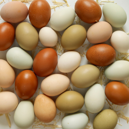 Pastanelere Toptan Yumurta Satış Ve Dağıtım Hizmetleri
