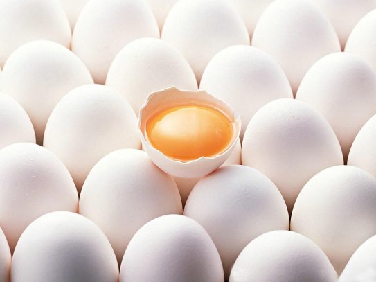 Restoranlara Toptan Yumurta Satış Ve Dağıtım Hizmetleri