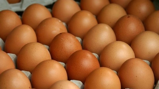 Sarıyer Toptan Yumurta Satış Ve Dağıtım Hizmetleri