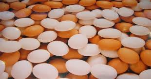 Sultangazi Toptan Yumurta Satış Ve Dağıtım Hizmetleri