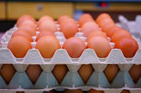 Zeytinburnu Toptan Yumurta Satış Ve Dağıtım Hizmetleri
