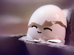 Ataşehir Toptan Yumurta Satış Ve Dağıtım Hizmetleri