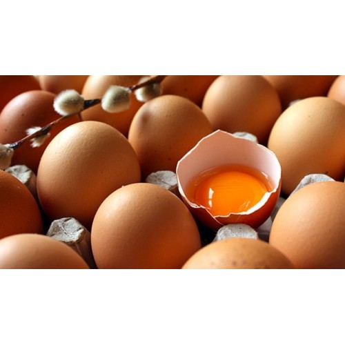 Beykoz Toptan Yumurta Satış Ve Dağıtım Hizmetleri