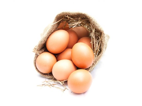 Fırınlara Toptan Yumurta Satış Ve Dağıtım Hizmetleri
