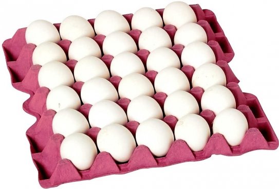 Toptan Yumurta Satış Ve Dağıtım Hizmetleri