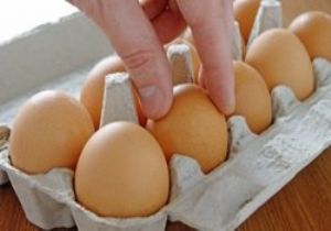 Maltepe Toptan Yumurta Satış Ve Dağıtım Hizmetleri