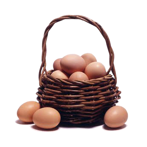 Pendik Toptan Yumurta Satış Ve Dağıtım Hizmetleri