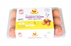 ŞEFFAF 15'Lİ GEZEN (L)ARGE BÜYÜK BOY YUMURTA