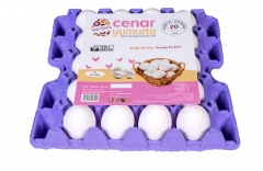 20'li (XL)ARGE ÇOK BÜYÜK BOY YUMURTA