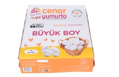 30' LU (XL)ARGE ÇOK BÜYÜK BOY YUMURTA